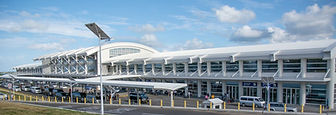 VC-bird-airport.jpeg