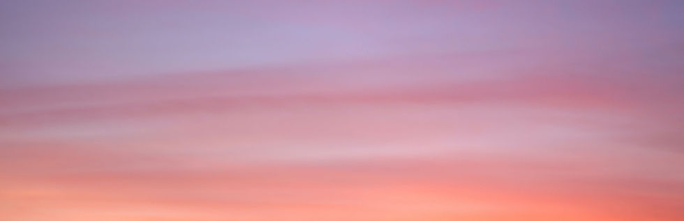 There is Beauty in Everything