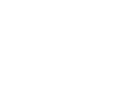 ENEVA (2).png