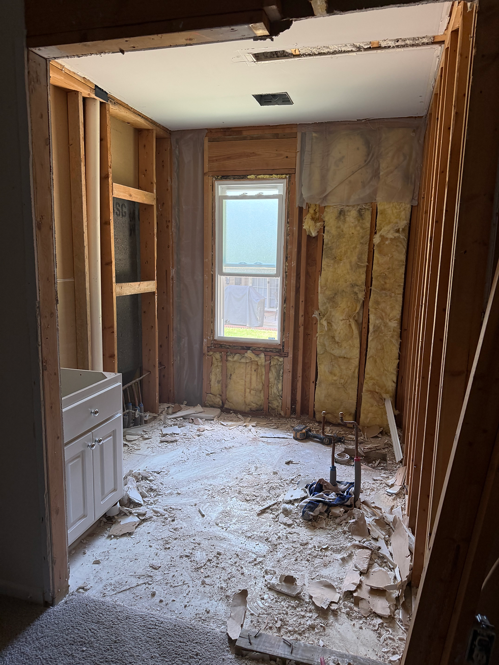 Bathroom gutted to studs BEFORE
