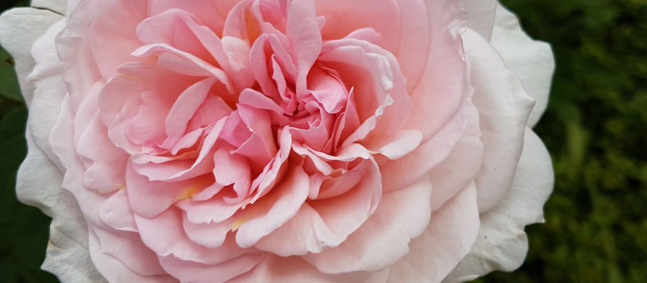 Dienstag, 23.07.2019