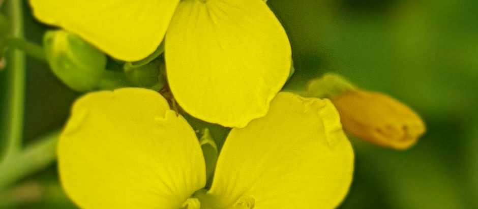 Wochenende - Samstag der 21.09.2019
