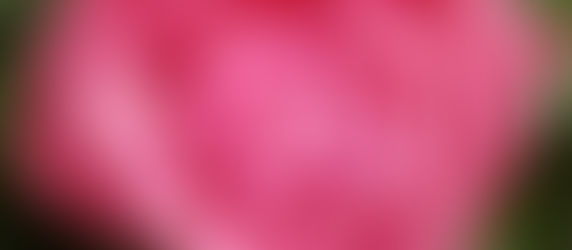 Donnerstag, der 18.07.1985