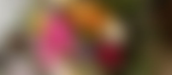 04.09.2019