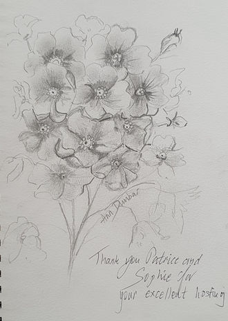 20230727_161316.heic