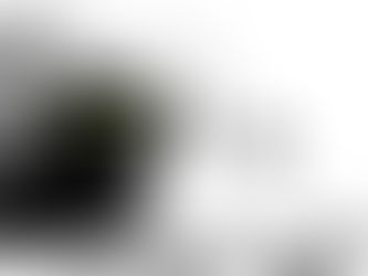 Мишките напускат...