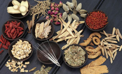 Chinese Herbs and Nutrition Counseling
