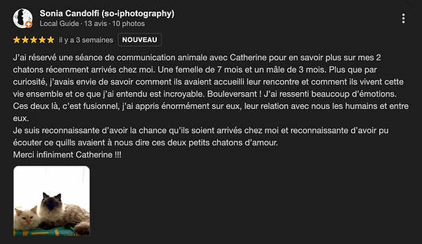 Capture d’écran 2026-01-10 à 10.22.47.png