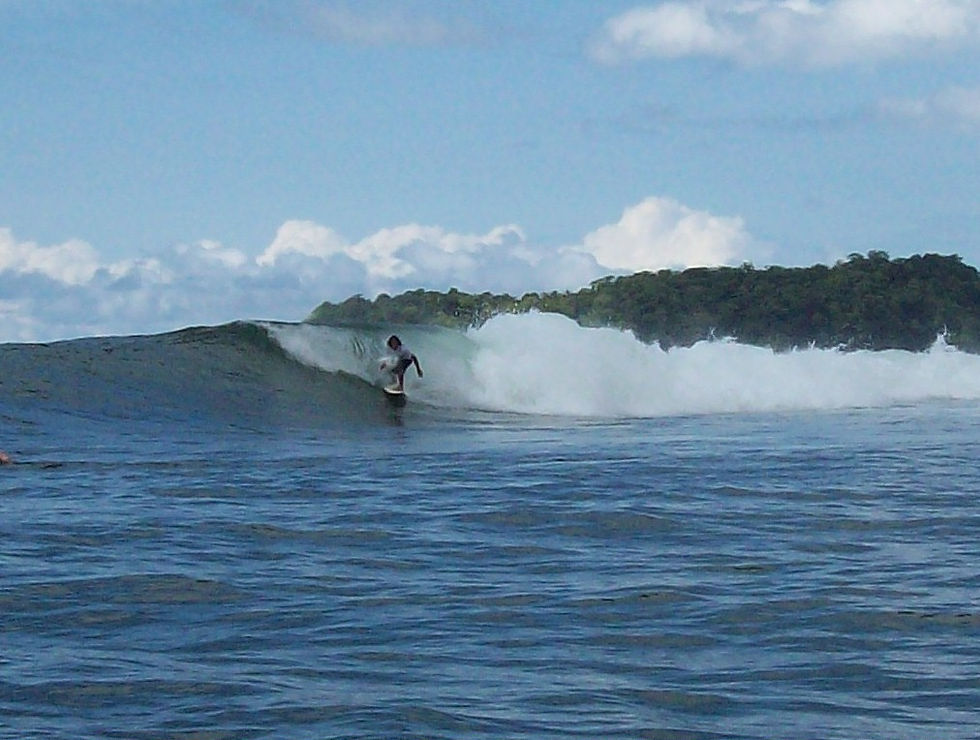 surf