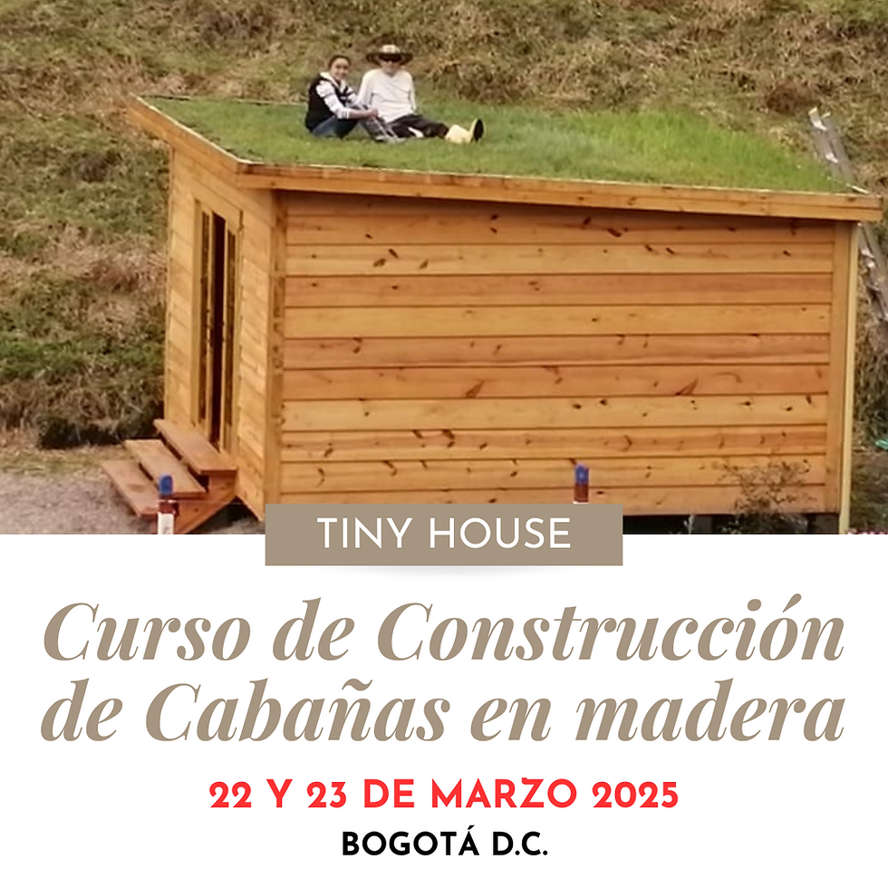 Curso de Construcción de Cabañas en Madera (Tiny House - Woodframe)