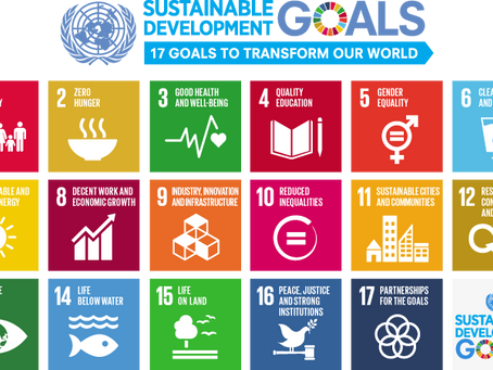 How ElderPRIME Aligns with UN's Sustainable Development Goals to Enhance Senior Healthcare