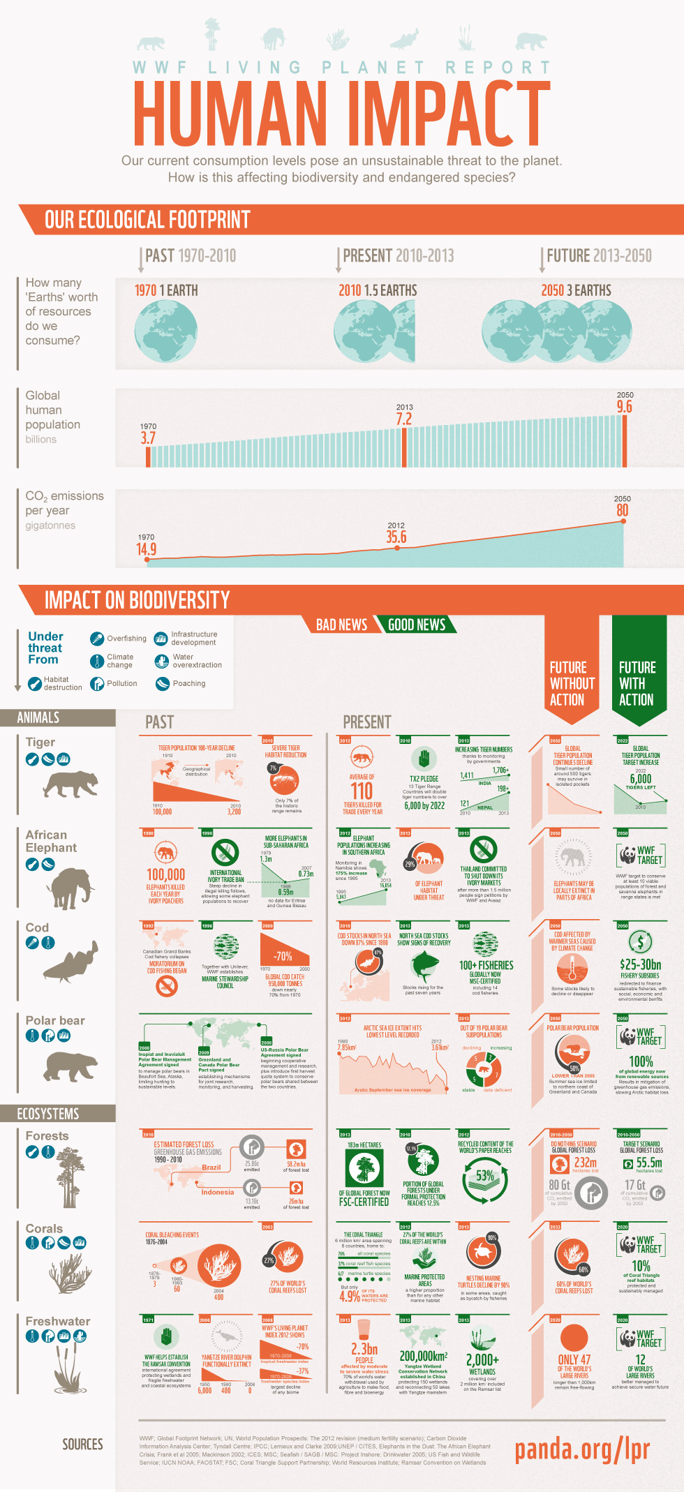 Human Impact on Biodiversity