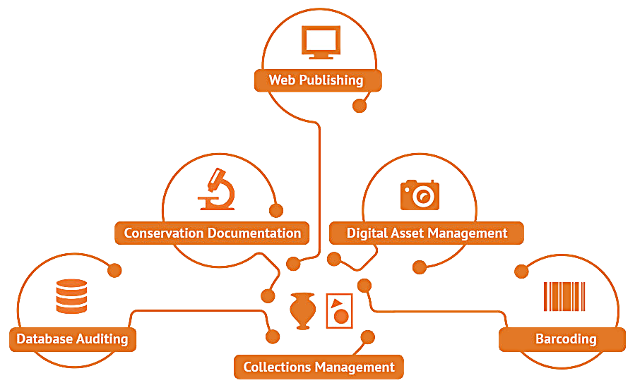 best database software for toy collecting best database software for toy collecting