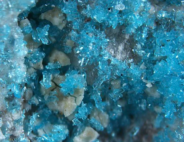 Lazaraskeite (copper glycolate) from Arizona