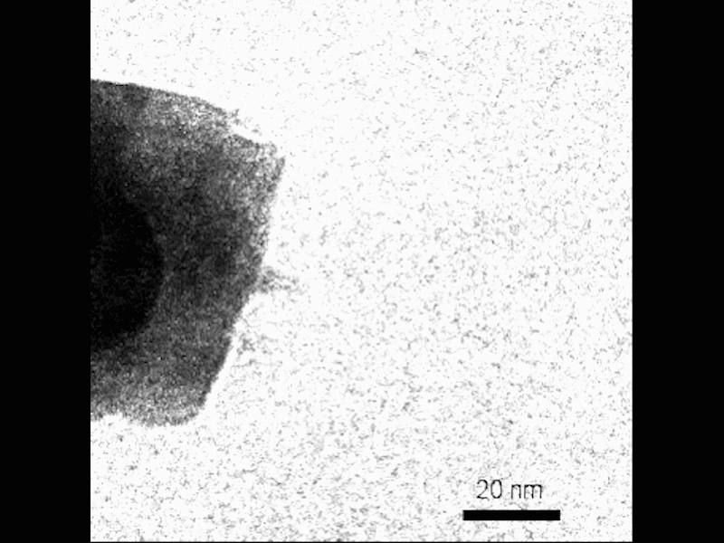 Mesocrystal Formation