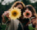 Untitled design (4).png