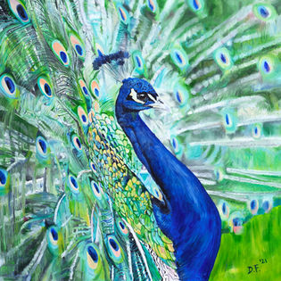 Peacock