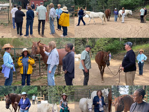 Relational Leadership Equine Workshop and Experience, Michelle Claffey, Duey Freeman, Purposeful Planning Institute, Rendezvous, Family Business, Family Wealth Management