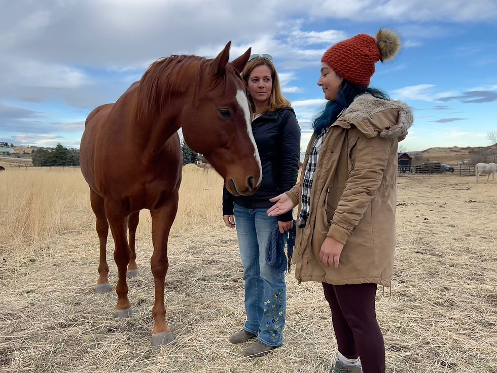 Michelle Claffey Blog Gestalt Equine Therapy Coaching Horses Somatics Leadership Presence full-core pelvic-floor breathing