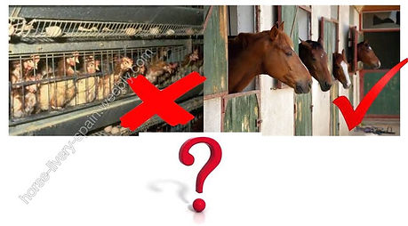 11081279_967529399932649_104667442726883