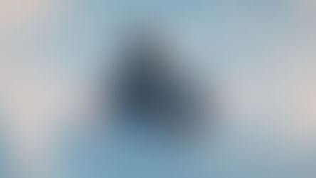 Wholeness and Part(iality).