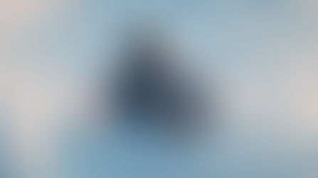 Wholeness and Part(iality).