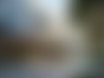 San Diego Legal Services for Every Need