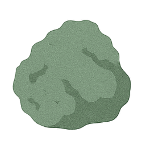 Chaga.png