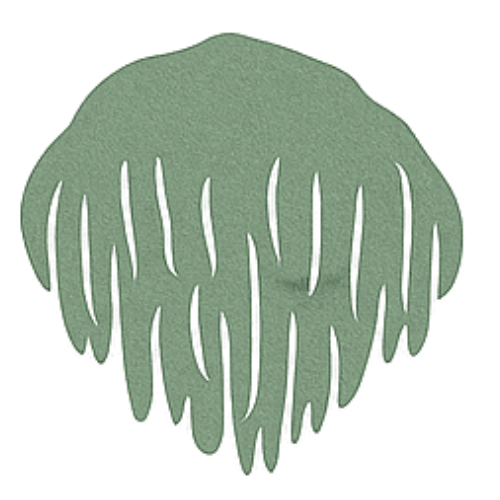 Hericium.png