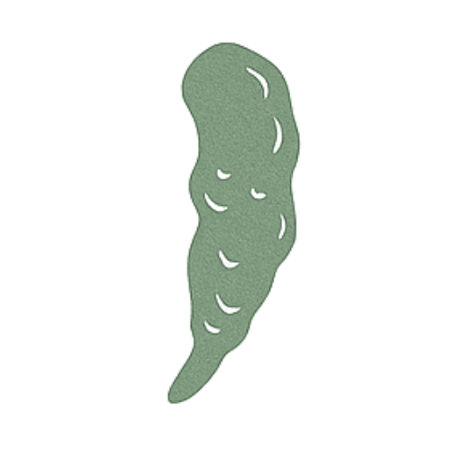Cordyceps.png