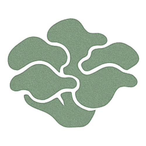 Maitake.png