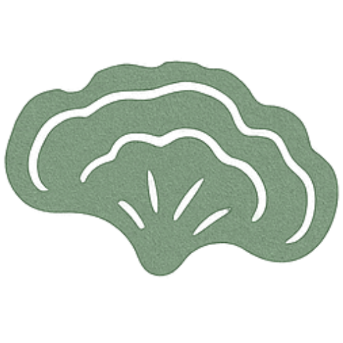 Turkey Tail.png