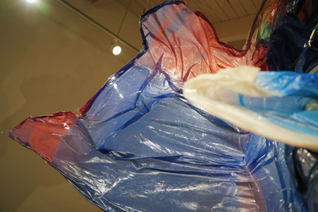 Lucia Shuyu Li/Lucia Li/ Art