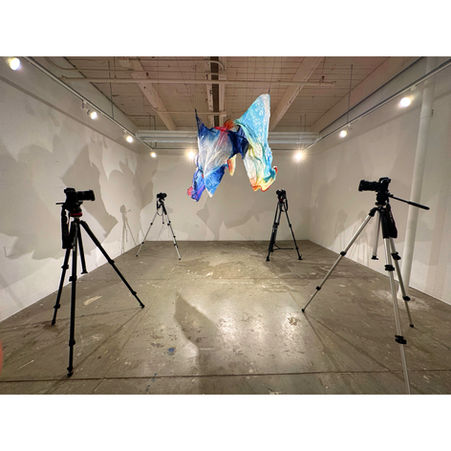 Lucia Shuyu Li/Lucia Li/ Art