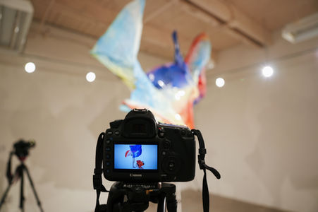 Lucia Shuyu Li/Lucia Li/ Art