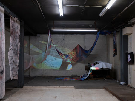 Lucia Shuyu Li/Lucia Li/ Art