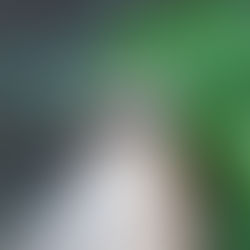 Τι είναι αυτά τα μαύρα σκουλήκια "της βροχής"; | Ίουλοι (Millipedes)