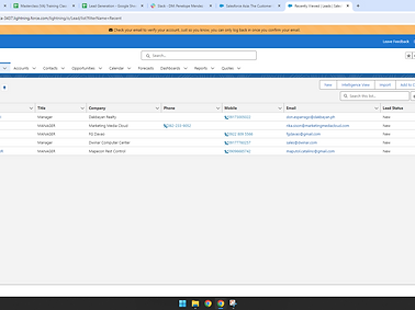 6. Salesforce Leads .png