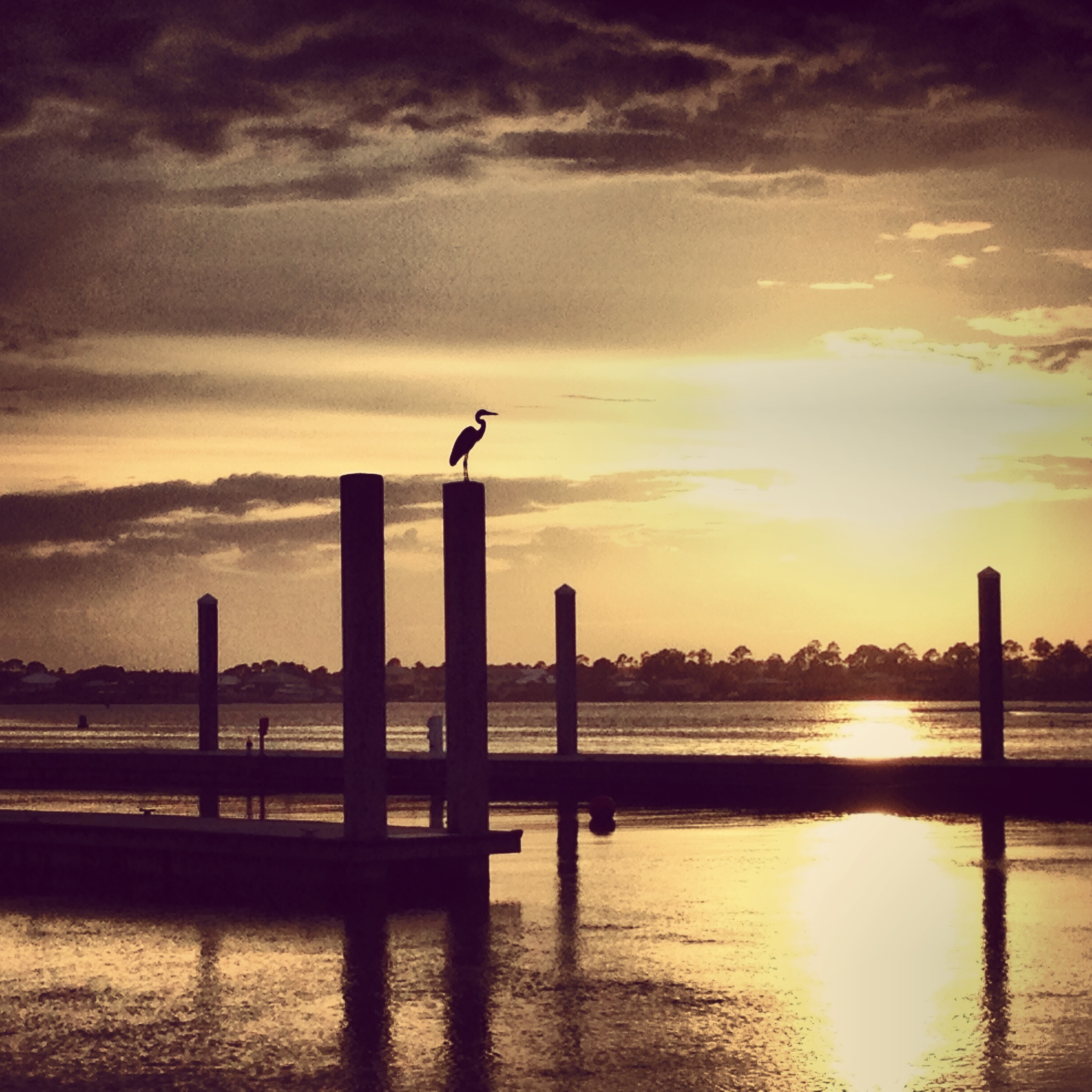 CraneSunset