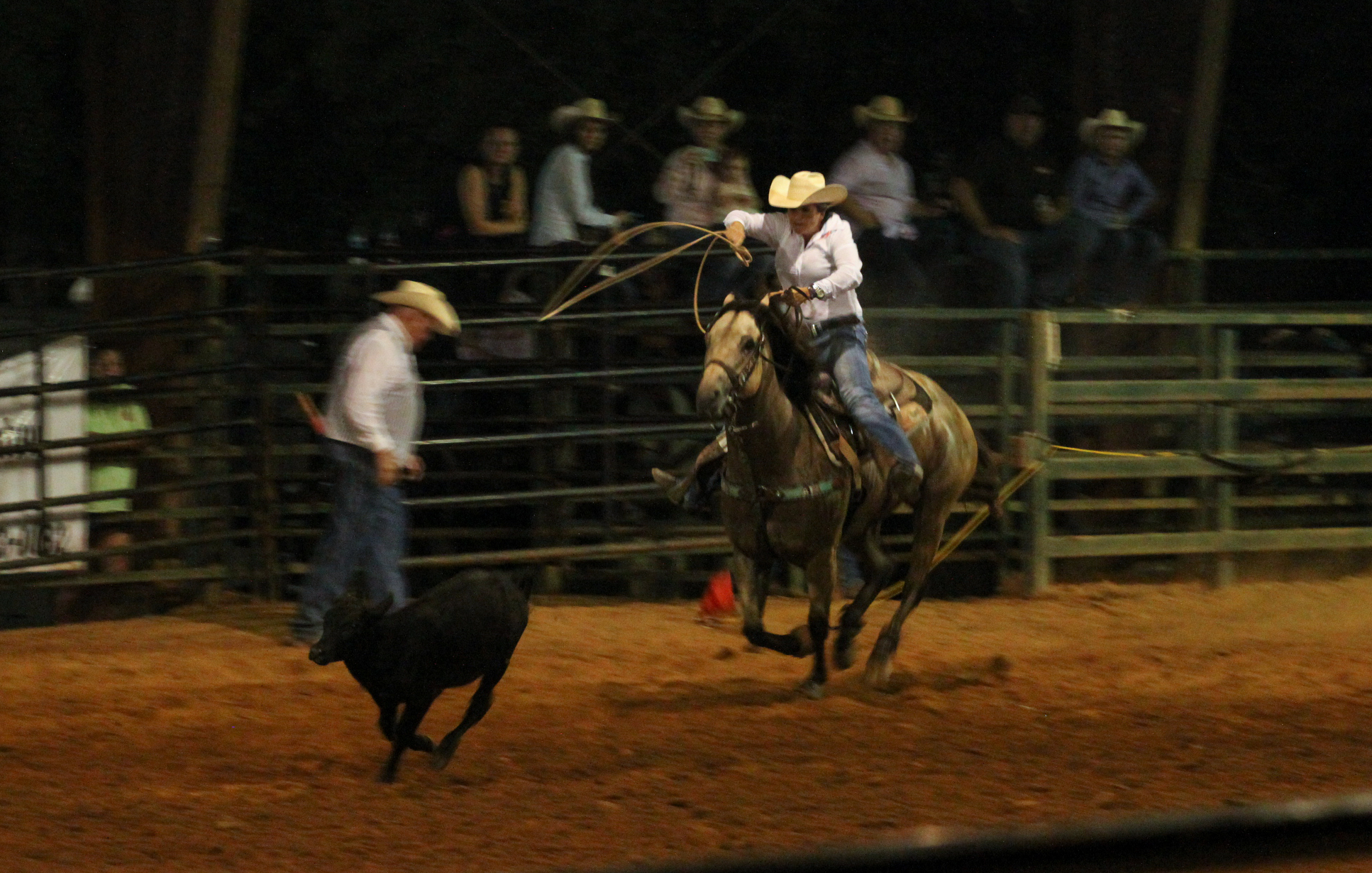 CalfRoping