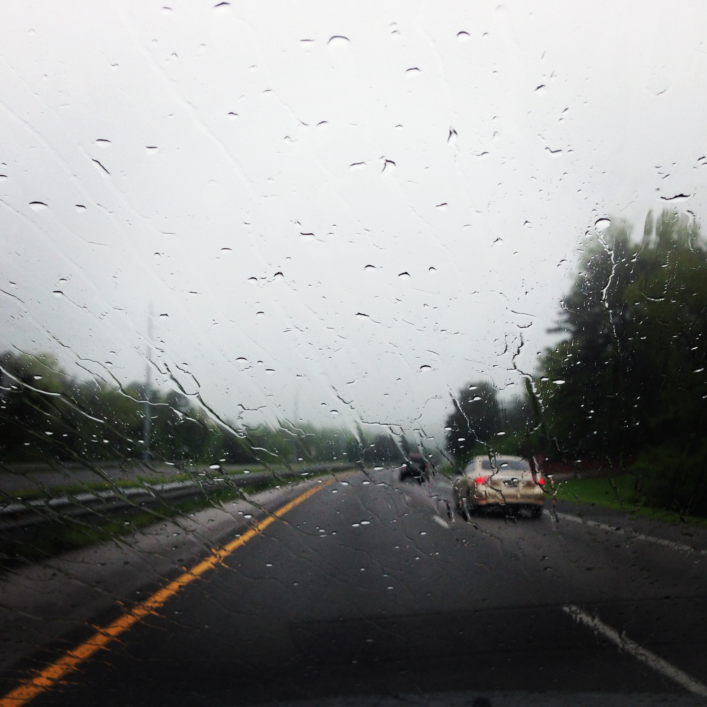 RainyWindshield