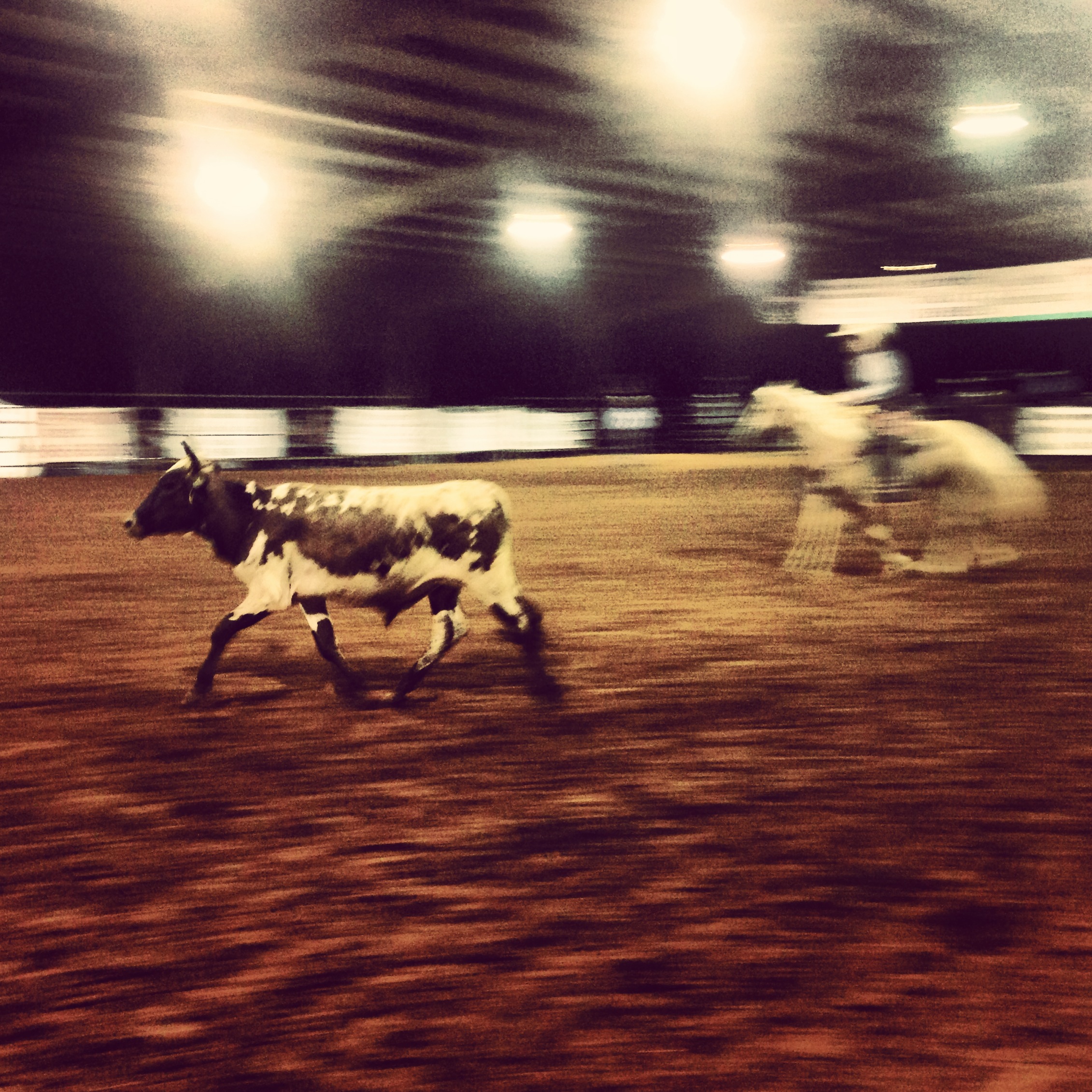 Heading the Steer