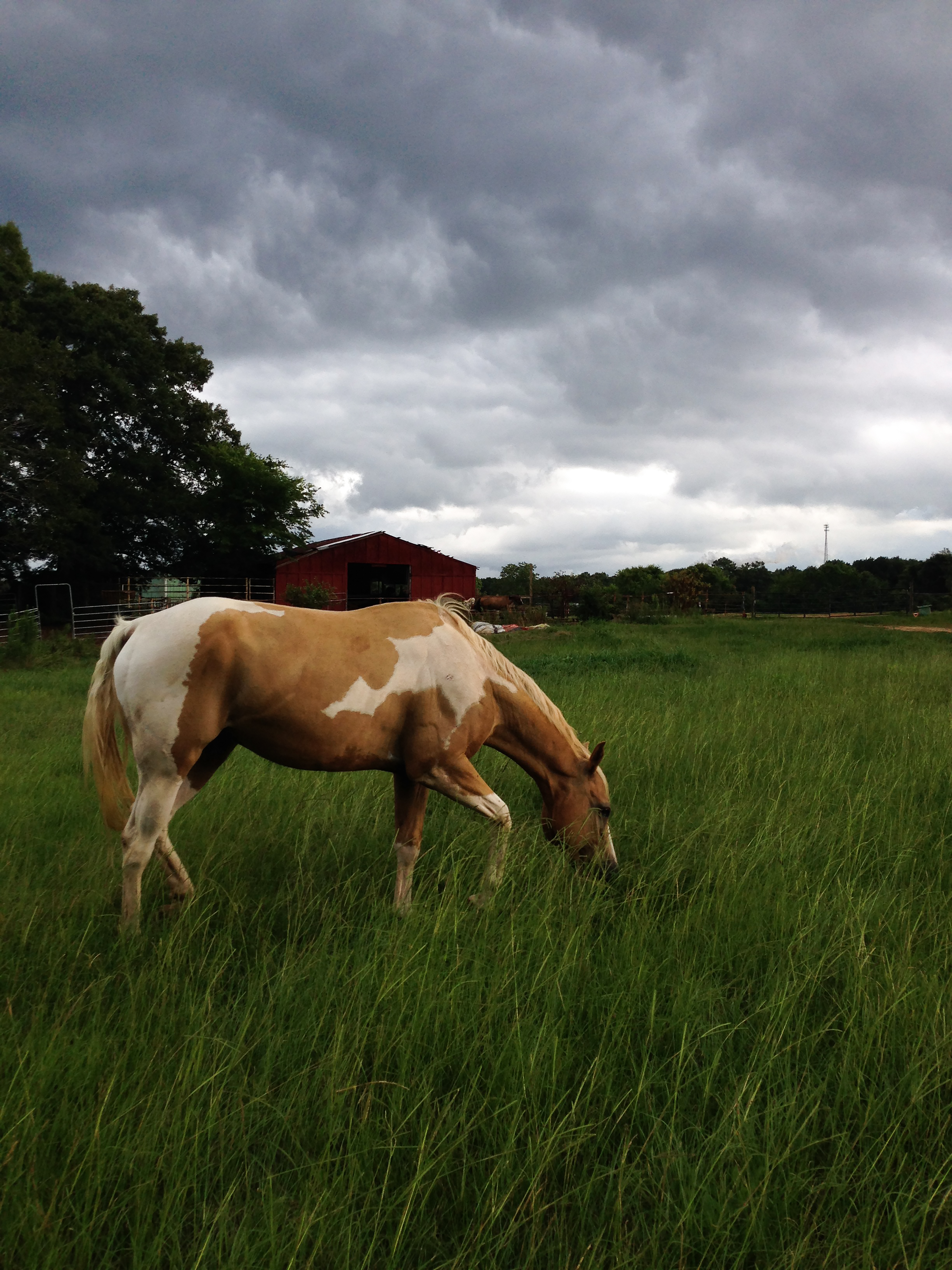 Before Storms