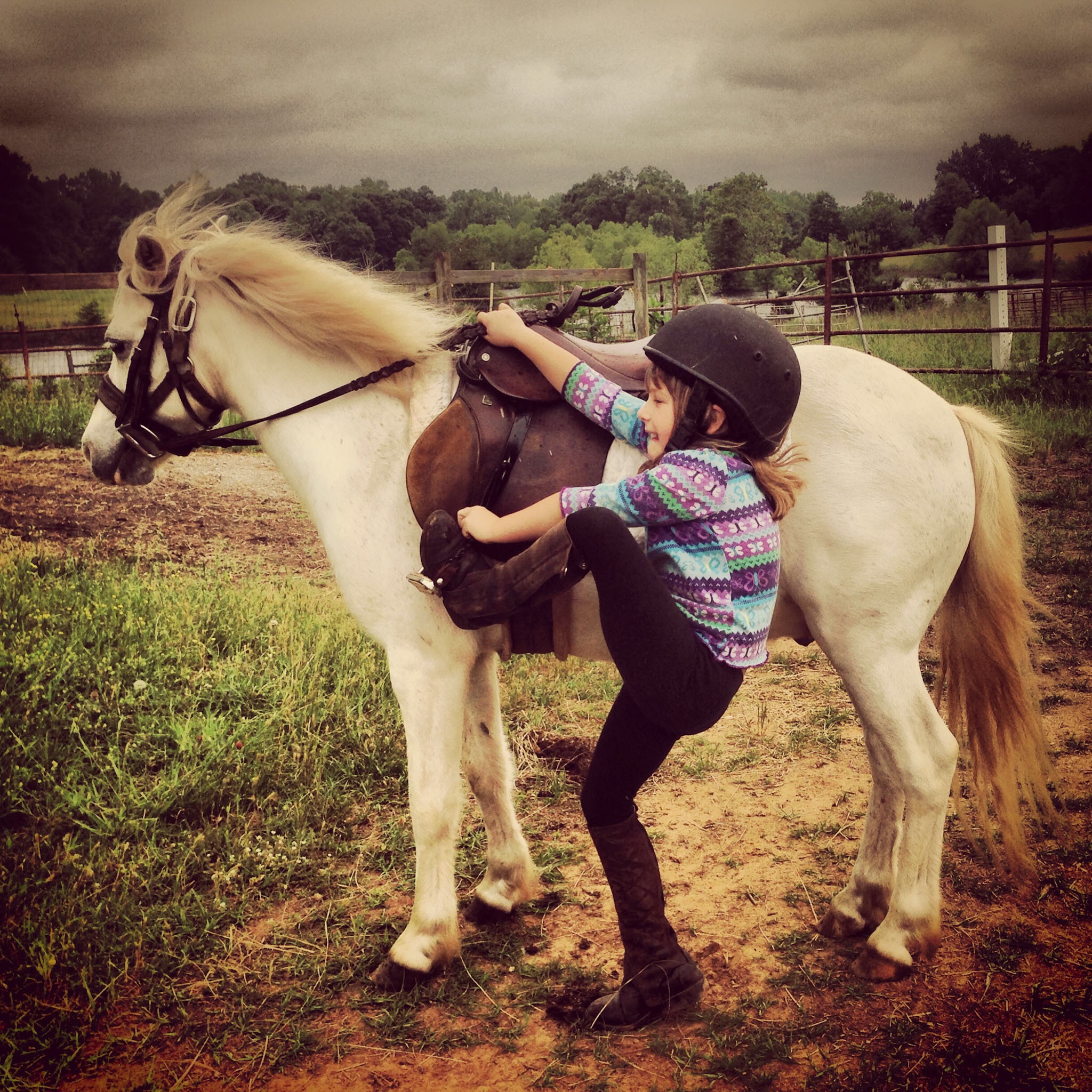 giddyup