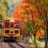 Sagano Romantic Train .jpg