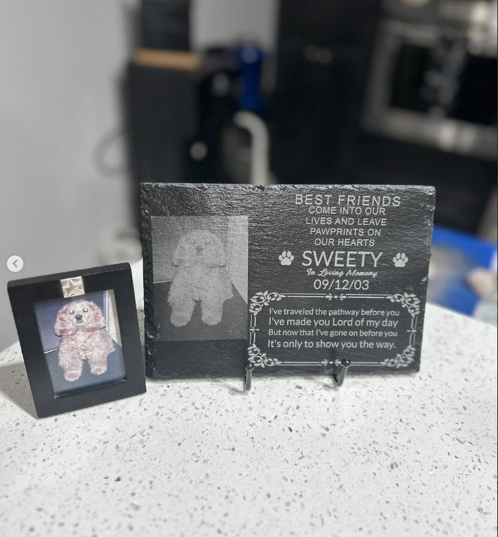 bandicam 2025-01-13 21-50-17-863.jpg