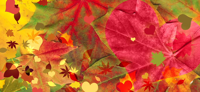 Cultivating Gratitude: A Daily practice Lesson Plan