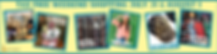 NE MISS NEWS Ads (2).png