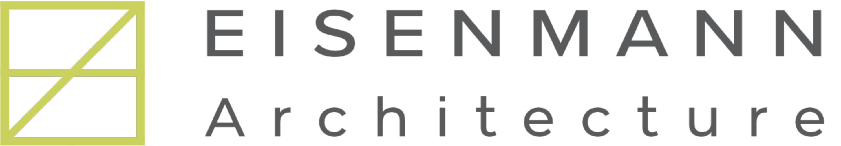 Eisenmann Logo 2_edited.png