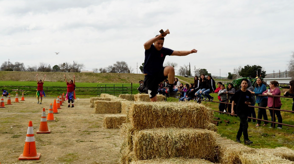 Pioneer Games